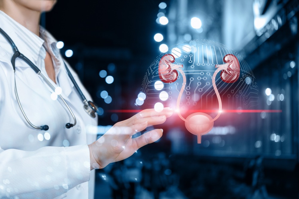 fertility pelvic scan