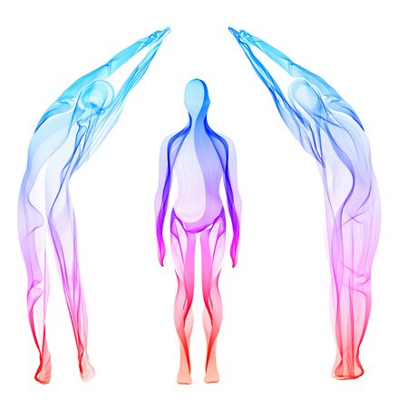fertility pelvic scan
